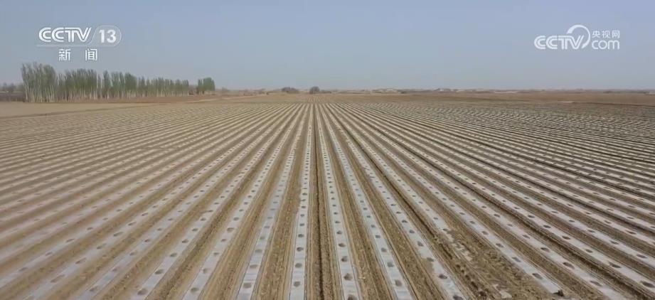 
浙江第二医院黄牛代挂号电话票贩子号贩子网上预约挂号,住院检查加快,“规模化经营+科技赋能” 推动棉花生产高质量发展