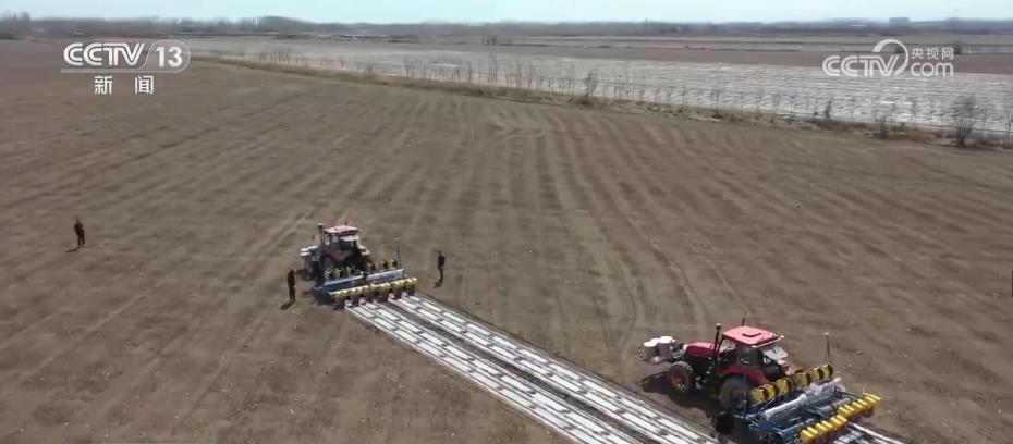 
浙江第二医院黄牛代挂号电话票贩子号贩子网上预约挂号,住院检查加快,“规模化经营+科技赋能” 推动棉花生产高质量发展