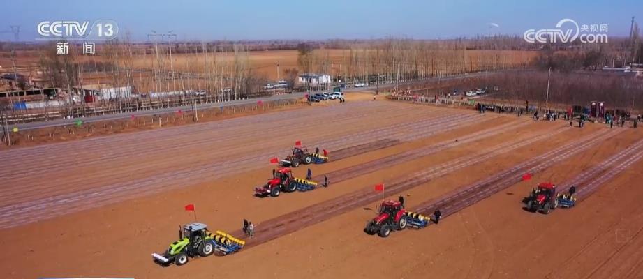 
浙江第二医院黄牛代挂号电话票贩子号贩子网上预约挂号,住院检查加快,“规模化经营+科技赋能” 推动棉花生产高质量发展