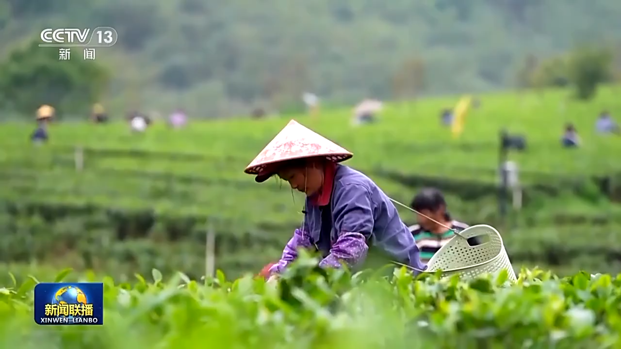 
广州医科大学附属第二医院黄牛代挂号电话票贩子号贩子网上预约挂号,住院检查加快,产业振兴→乡村振兴！从田间地头不断延伸拓展农业产业链