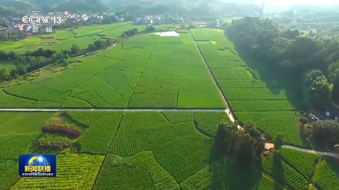 
广州医科大学附属第二医院黄牛代挂号电话票贩子号贩子网上预约挂号,住院检查加快,产业振兴→乡村振兴！从田间地头不断延伸拓展农业产业链