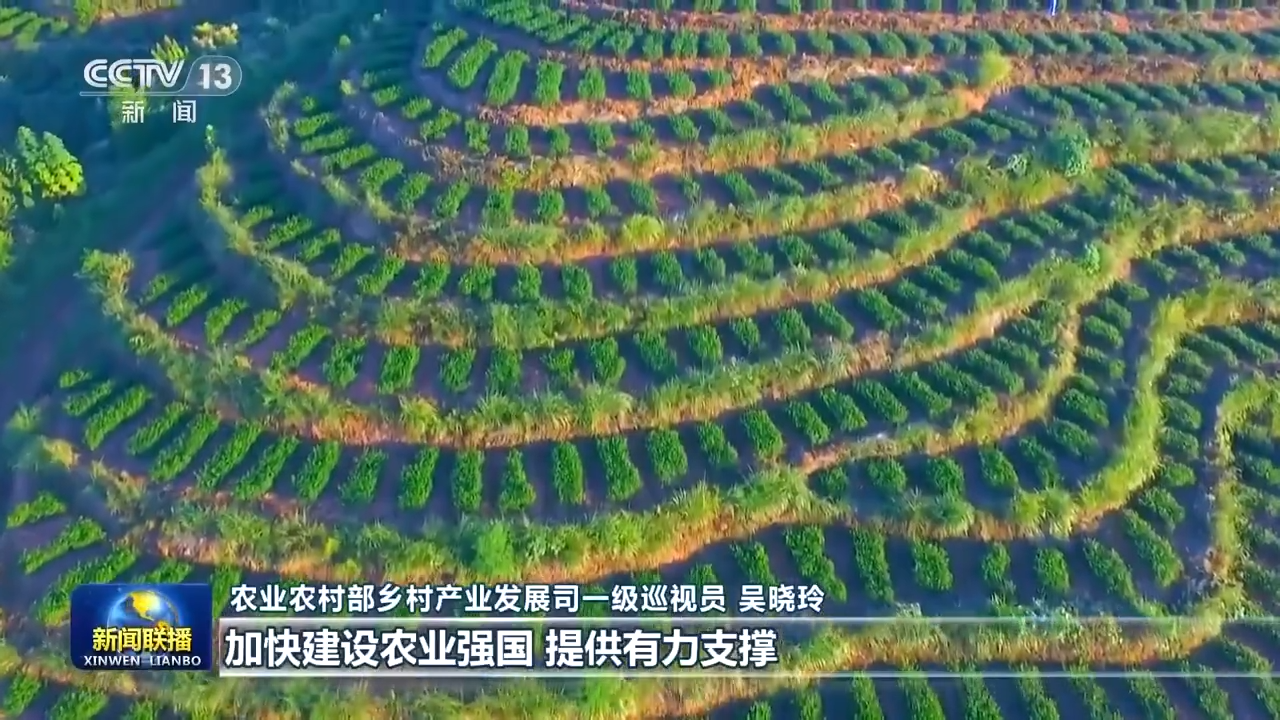 
广州医科大学附属第二医院黄牛代挂号电话票贩子号贩子网上预约挂号,住院检查加快,产业振兴→乡村振兴！从田间地头不断延伸拓展农业产业链