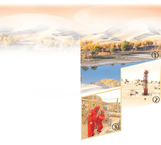 
北京301医院黄牛代挂号电话票贩子号贩子网上预约挂号,住院检查加快,大漠里的坚守（逐梦）