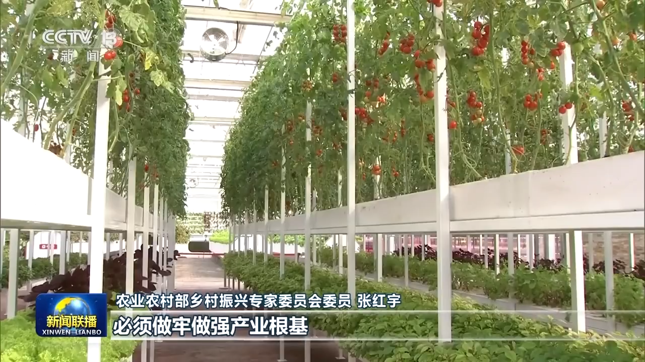 
广州医科大学附属第二医院黄牛代挂号电话票贩子号贩子网上预约挂号,住院检查加快,产业振兴→乡村振兴！从田间地头不断延伸拓展农业产业链