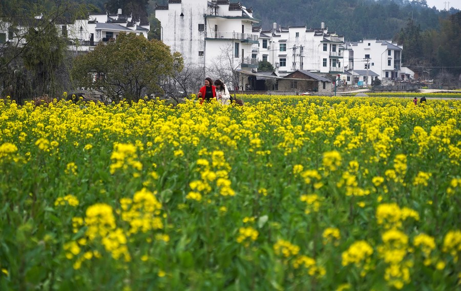 
杭州市富阳中医骨伤医院黄牛代挂号电话票贩子号贩子网上预约挂号,住院检查加快,社会“认养”唤醒“中国最美乡村”