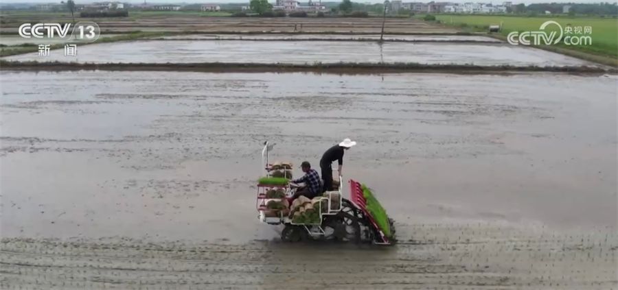 
北京大学第三医院黄牛代挂号电话票贩子号贩子网上预约挂号,住院检查加快,今年春耕期间我国化肥市场供应总体充足 价格总体平稳