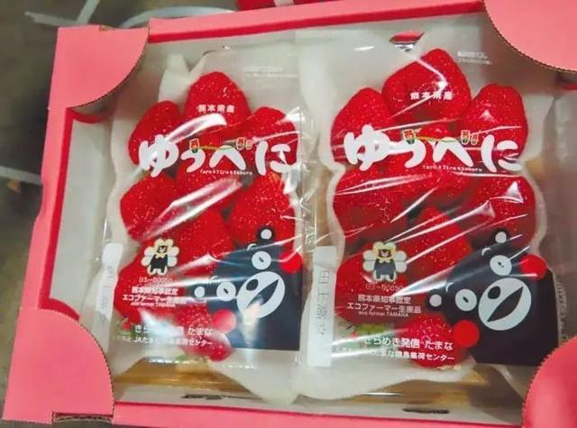 
包含北京大学第一医院黄牛代挂号电话票贩子号贩子网上预约挂号,住院检查加快,民进党当局放行日本“毒草莓”，被批“在母亲节给日本妈妈送礼”