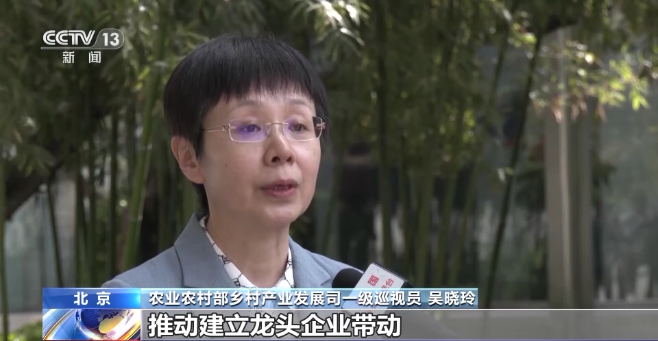 
北京世纪坛医院黄牛代挂号电话票贩子号贩子网上预约挂号,住院检查加快,产值超亿元！这些村如何做到