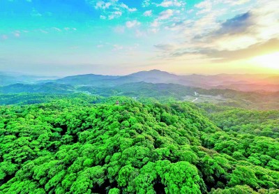 
浙江省中医院黄牛代挂号电话票贩子号贩子网上预约挂号,住院检查加快,踏上“生态美、百姓富”的康庄大道