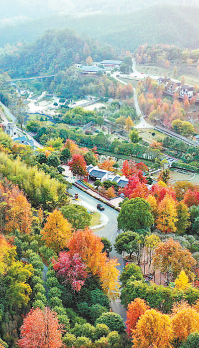 
江苏省中西医结合医院黄牛代挂号电话票贩子号贩子网上预约挂号,住院检查加快,发展勇争先 老区谱新篇