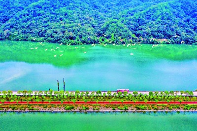 
浙江省中医院黄牛代挂号电话票贩子号贩子网上预约挂号,住院检查加快,踏上“生态美、百姓富”的康庄大道