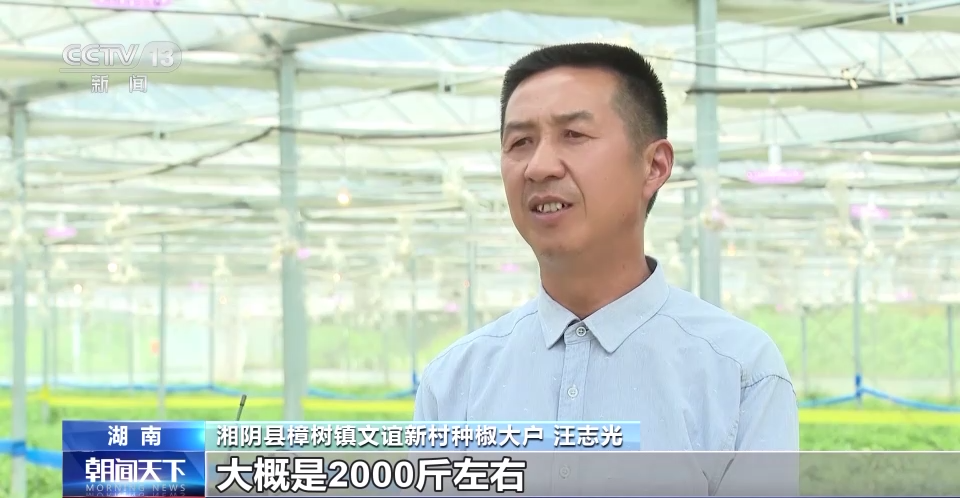 
北京世纪坛医院黄牛代挂号电话票贩子号贩子网上预约挂号,住院检查加快,产值超亿元！这些村如何做到