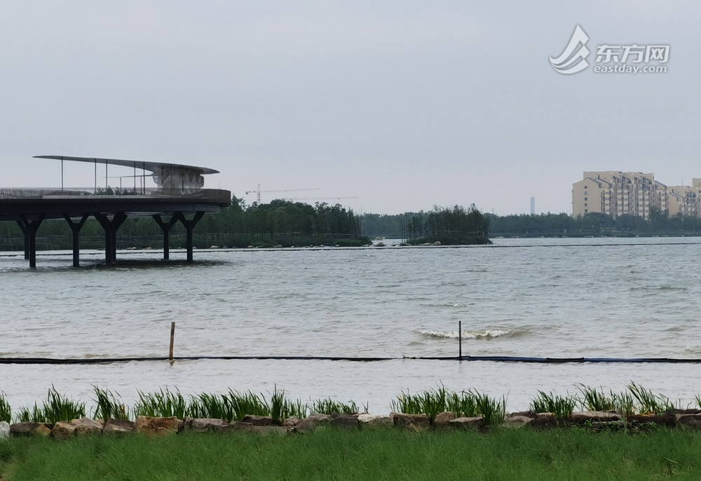 
北京301医院黄牛代挂号电话票贩子号贩子网上预约挂号,住院检查加快,跨域生态环境一体化联保共治助力元荡岸线生态修复｜中国式现代化的长三角实践