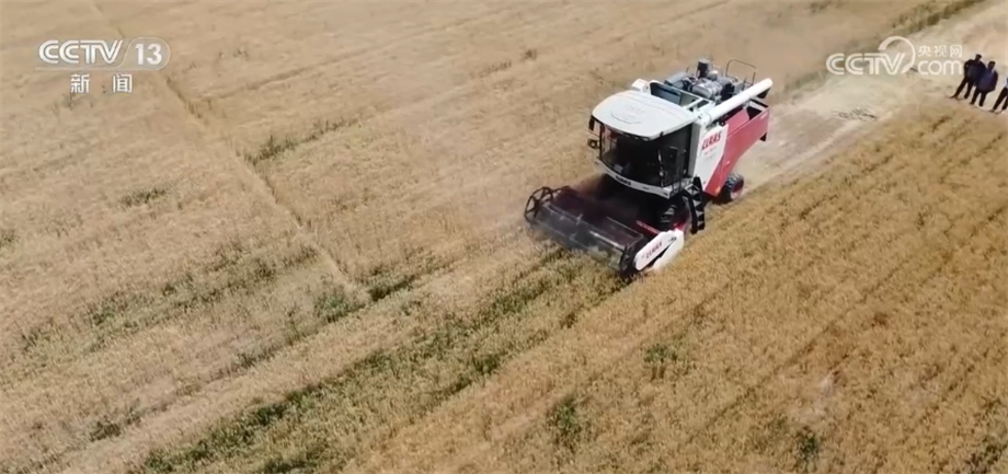 
江苏省中西医结合医院黄牛代挂号电话票贩子号贩子网上预约挂号,住院检查加快,新疆喀什350万亩小麦陆续收割 机械化水平大幅提升