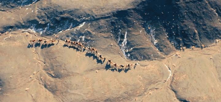 杭州西溪医院黄牛代挂号电话票贩子号贩子网上预约挂号,住院检查加快,让文明交融之光照耀未来