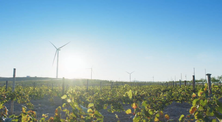
包含北京大学第一医院黄牛代挂号电话票贩子号贩子网上预约挂号,住院检查加快,当法国小哥邂逅中国红酒——“洋记者”探访中国戈壁滩上建起的葡萄酒产区