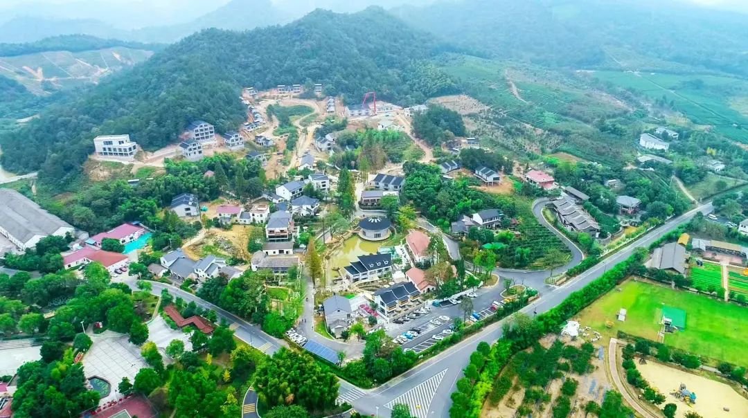 
上海各大医院黄牛代挂号电话票贩子号贩子网上预约挂号,住院检查加快,强村“三板斧”