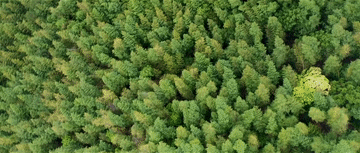 
西安西京医院黄牛代挂号电话票贩子号贩子网上预约挂号,住院检查加快,总书记关心的“土特产”丨神山村里竹香浓