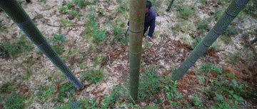 
西安西京医院黄牛代挂号电话票贩子号贩子网上预约挂号,住院检查加快,总书记关心的“土特产”丨神山村里竹香浓