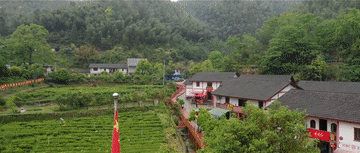 
西安西京医院黄牛代挂号电话票贩子号贩子网上预约挂号,住院检查加快,总书记关心的“土特产”丨神山村里竹香浓