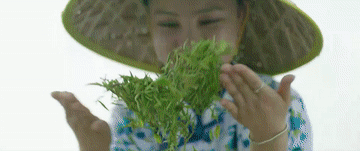 
广州市妇女儿童医疗中心黄牛代挂号电话票贩子号贩子网上预约挂号,住院检查加快,微视频｜共同的追求