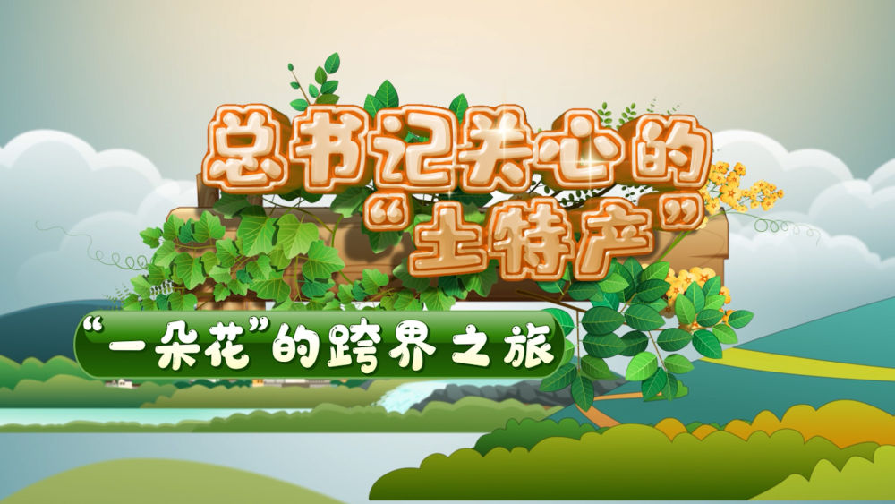
江苏省中西医结合医院黄牛代挂号电话票贩子号贩子网上预约挂号,住院检查加快,总书记关心的“土特产”｜“一朵花”的跨界之旅