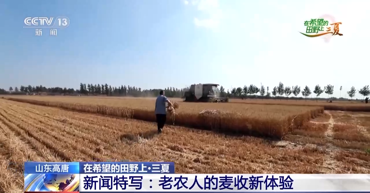
南京各大医院黄牛代挂号电话票贩子号贩子网上预约挂号,住院检查加快,耕种管收灵活“点单” 老农人有了麦收新体验