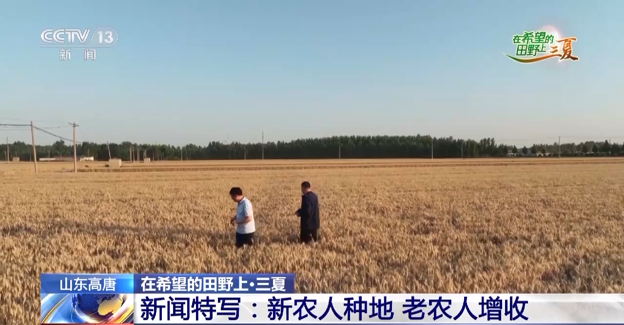 
南京各大医院黄牛代挂号电话票贩子号贩子网上预约挂号,住院检查加快,耕种管收灵活“点单” 老农人有了麦收新体验