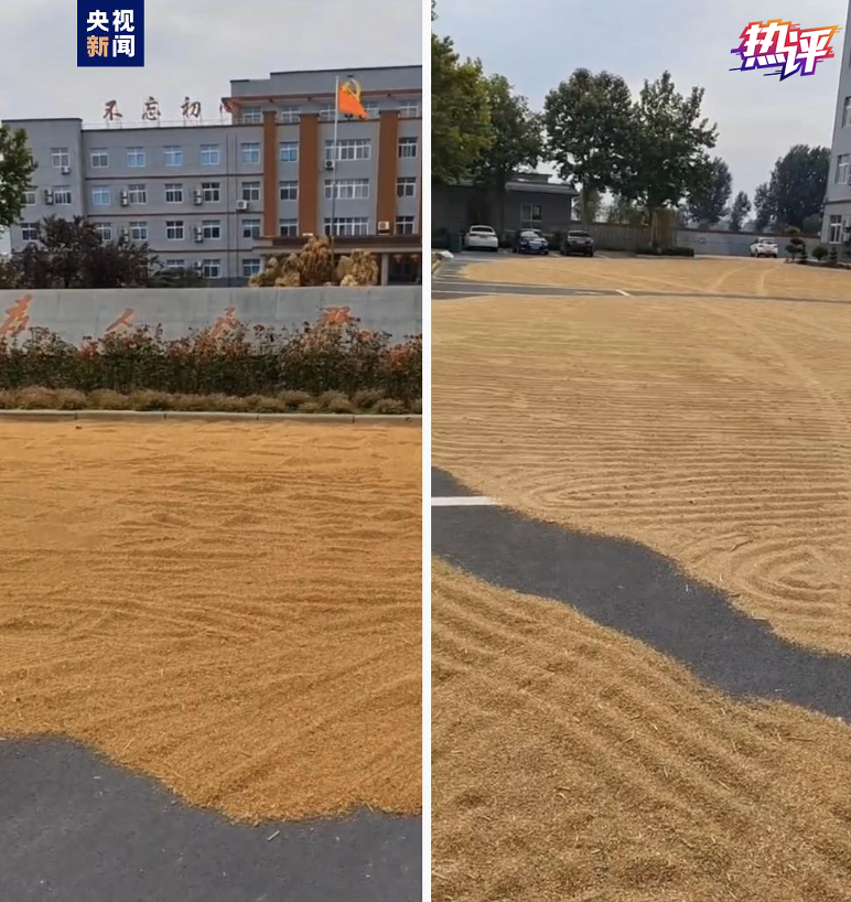 
北京世纪坛医院黄牛代挂号电话票贩子号贩子网上预约挂号,住院检查加快,热评丨进度超八成！颗粒归仓，稳住粮食安全“压舱石”