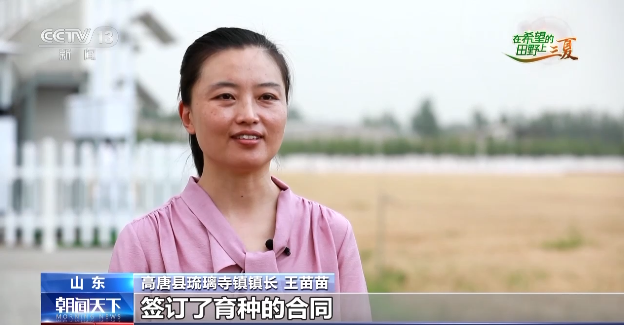 
南京各大医院黄牛代挂号电话票贩子号贩子网上预约挂号,住院检查加快,耕种管收灵活“点单” 老农人有了麦收新体验