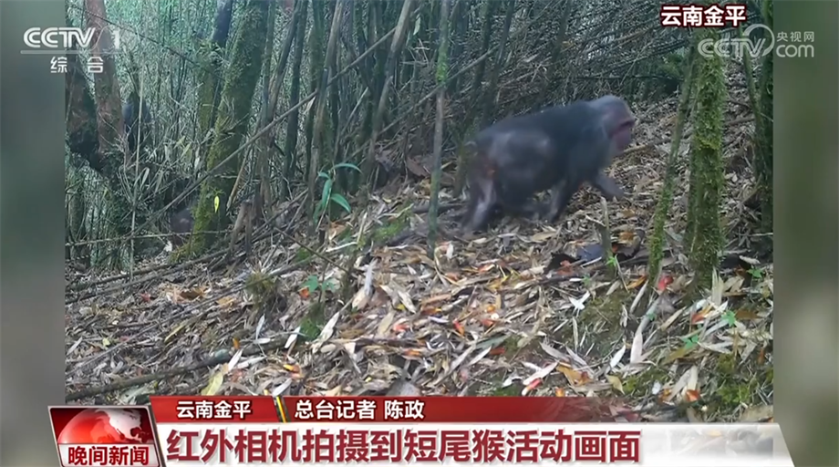 
长沙各大医院黄牛代挂号电话票贩子号贩子网上预约挂号,住院检查加快,珍稀野生动物频亮相 我国生态环境持续向好