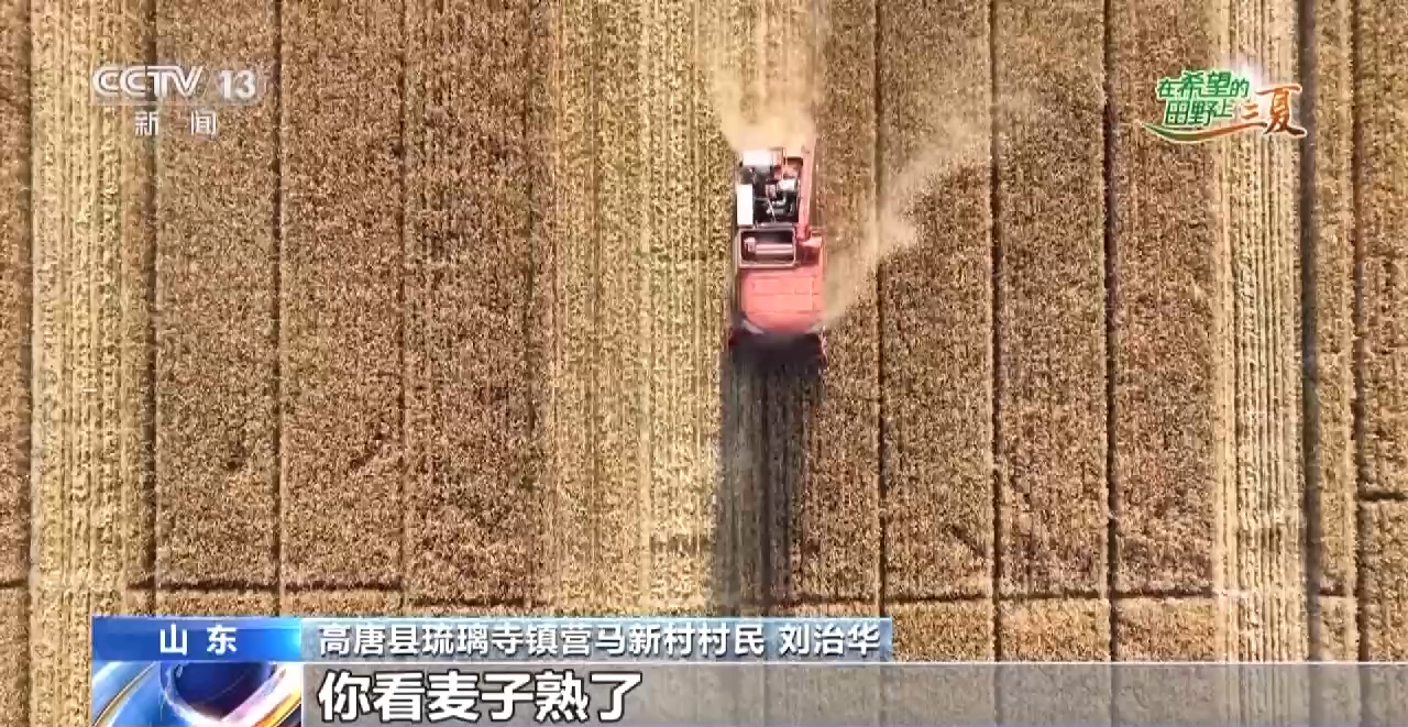 
南京各大医院黄牛代挂号电话票贩子号贩子网上预约挂号,住院检查加快,耕种管收灵活“点单” 老农人有了麦收新体验