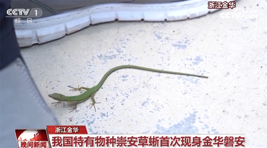 
长沙各大医院黄牛代挂号电话票贩子号贩子网上预约挂号,住院检查加快,珍稀野生动物频亮相 我国生态环境持续向好