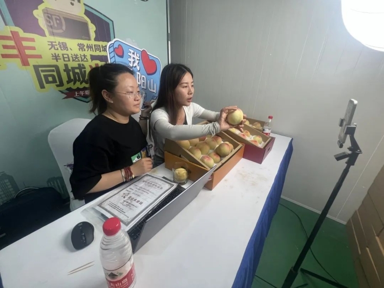 
南京儿童医院黄牛代挂号电话票贩子号贩子网上预约挂号,住院检查加快,江苏无锡： “黑科技” 全面升级 助力阳山水蜜桃“飞”得更远