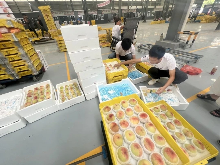 
南京儿童医院黄牛代挂号电话票贩子号贩子网上预约挂号,住院检查加快,江苏无锡： “黑科技” 全面升级 助力阳山水蜜桃“飞”得更远