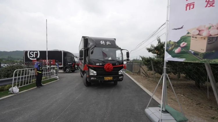 
南京儿童医院黄牛代挂号电话票贩子号贩子网上预约挂号,住院检查加快,江苏无锡： “黑科技” 全面升级 助力阳山水蜜桃“飞”得更远