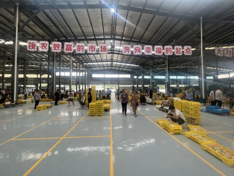 
南京儿童医院黄牛代挂号电话票贩子号贩子网上预约挂号,住院检查加快,江苏无锡： “黑科技” 全面升级 助力阳山水蜜桃“飞”得更远