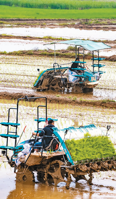 
广州口腔医院黄牛代挂号电话票贩子号贩子网上预约挂号,住院检查加快,战“三夏” 夺丰收