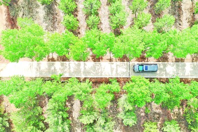
浙江第一医院黄牛代挂号电话票贩子号贩子网上预约挂号,住院检查加快,努力创造新时代中国防沙治沙新奇迹