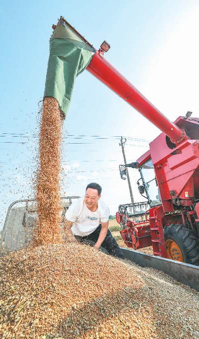 
广州口腔医院黄牛代挂号电话票贩子号贩子网上预约挂号,住院检查加快,战“三夏” 夺丰收