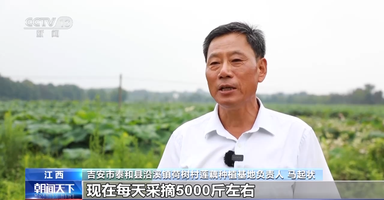 北医三院黄牛代挂号电话票贩子号贩子网上预约挂号,住院检查加快,莲花美、麦秆香!全国多地“丰”景如画
