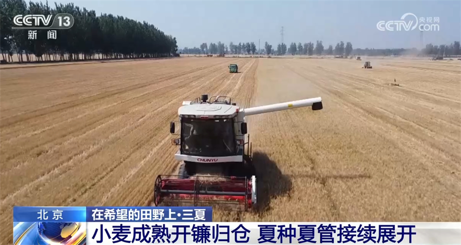 
南京脑科医院黄牛代挂号电话票贩子号贩子网上预约挂号,住院检查加快,全国麦收进度过九成五 多地采取措施保障夏粮丰收