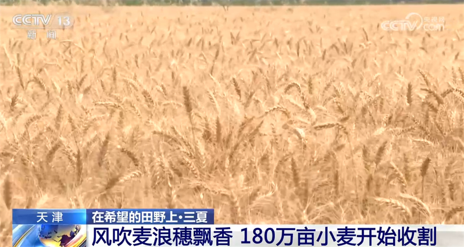 
南京脑科医院黄牛代挂号电话票贩子号贩子网上预约挂号,住院检查加快,全国麦收进度过九成五 多地采取措施保障夏粮丰收