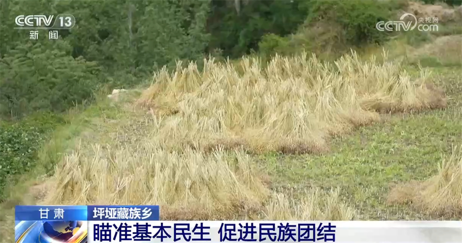 
北医三院黄牛代挂号电话票贩子号贩子网上预约挂号,住院检查加快,“点滴的变化”换来“稳稳的幸福” 瞄准基本民生 促进民族团结