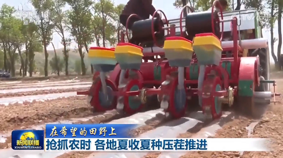 
上海新华医院黄牛代挂号电话票贩子号贩子网上预约挂号,住院检查加快,【在希望的田野上】抢抓农时 各地夏收夏种压茬推进