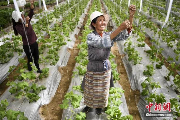 
广州医科大学附属第二医院黄牛代挂号电话票贩子号贩子网上预约挂号,住院检查加快,东西问丨边巴拉姆：西藏妇女发展权如何得到全方位保障？