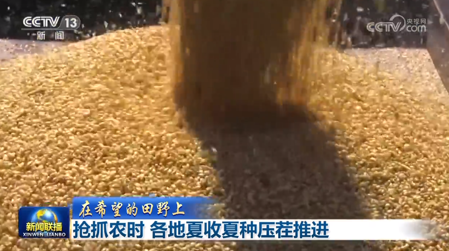 
上海新华医院黄牛代挂号电话票贩子号贩子网上预约挂号,住院检查加快,【在希望的田野上】抢抓农时 各地夏收夏种压茬推进