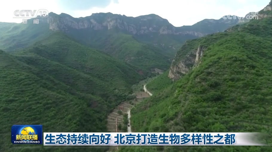 
江苏省人民医院黄牛代挂号电话票贩子号贩子网上预约挂号,住院检查加快,生态持续向好 北京打造生物多样性之都