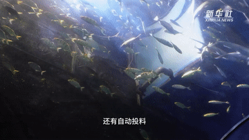 
南方医科大学南方医院黄牛代挂号电话票贩子号贩子网上预约挂号,住院检查加快,高质量发展调研行｜探秘“智慧渔场”科技 打造“蓝色粮仓”