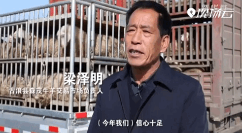 
南京脑科医院黄牛代挂号电话票贩子号贩子网上预约挂号,住院检查加快,“县”在出发——行走百县话振兴 | 荒原焕新！听，牛羊声打破这里的寂静